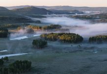 Cina: la riserva del fiume Nanweng tutela biodiversità nello Heilongjiang (3)