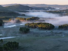Cina: la riserva del fiume Nanweng tutela biodiversità nello Heilongjiang (3)