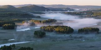 Cina: la riserva del fiume Nanweng tutela biodiversità nello Heilongjiang (3)