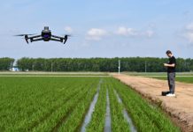Cina: Heilongjiang usa macchinari smart per aumentare produzione di cereali (1)