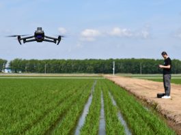 Cina: Heilongjiang usa macchinari smart per aumentare produzione di cereali (1)