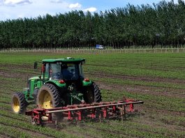 Cina: Heilongjiang usa macchinari smart per aumentare produzione di cereali (2)