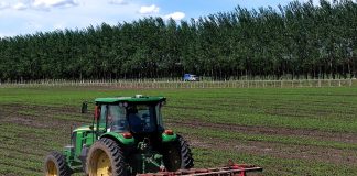 Cina: Heilongjiang usa macchinari smart per aumentare produzione di cereali (2)