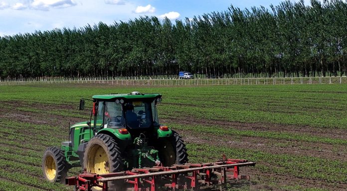 Cina: Heilongjiang usa macchinari smart per aumentare produzione di cereali (2)