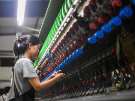 Cina: Qianjiang, allevamento dei bachi da seta stimola l’economia locale (3)