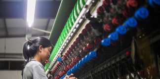 Cina: Qianjiang, allevamento dei bachi da seta stimola l’economia locale (3)
