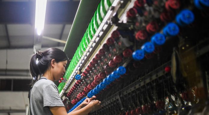 Cina: Qianjiang, allevamento dei bachi da seta stimola l’economia locale (3)