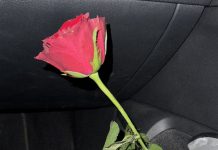 “M’ama non m’ama”: ecco il nuovo singolo di Madame