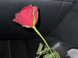 “M’ama non m’ama”: ecco il nuovo singolo di Madame