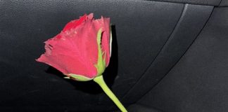 “M’ama non m’ama”: ecco il nuovo singolo di Madame