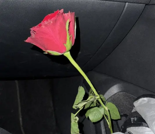 “M’ama non m’ama”: ecco il nuovo singolo di Madame