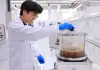 Cina: Tianjin ospita il centro per l’innovazione della medicina tradizionale (3)