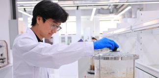 Cina: Tianjin ospita il centro per l’innovazione della medicina tradizionale (3)