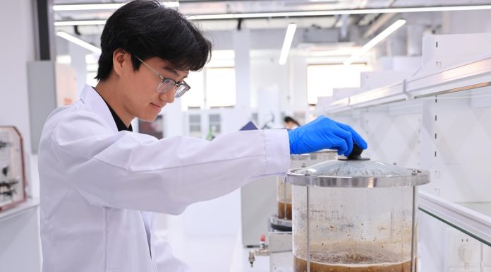 Cina: Tianjin ospita il centro per l’innovazione della medicina tradizionale (3)