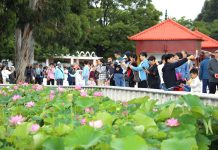 Cina: in corso in tutto il Paese le vacanze per il Dragon Boat Festival (1)