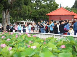 Cina: in corso in tutto il Paese le vacanze per il Dragon Boat Festival (1)