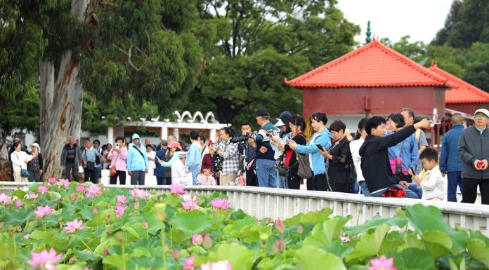 Cina: in corso in tutto il Paese le vacanze per il Dragon Boat Festival (1)