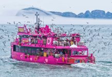 Cina: in corso in tutto il Paese le vacanze per il Dragon Boat Festival (3)
