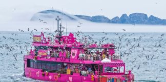 Cina: in corso in tutto il Paese le vacanze per il Dragon Boat Festival (3)