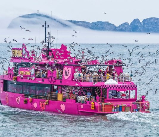 Cina: in corso in tutto il Paese le vacanze per il Dragon Boat Festival (3)