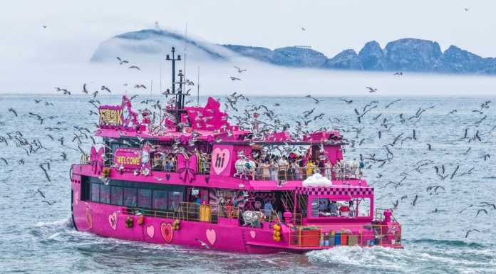 Cina: in corso in tutto il Paese le vacanze per il Dragon Boat Festival (3)