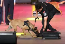 Cina: da inizio anno sequestrate oltre 4 tonnellate di droga alle frontiere