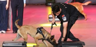 Cina: da inizio anno sequestrate oltre 4 tonnellate di droga alle frontiere