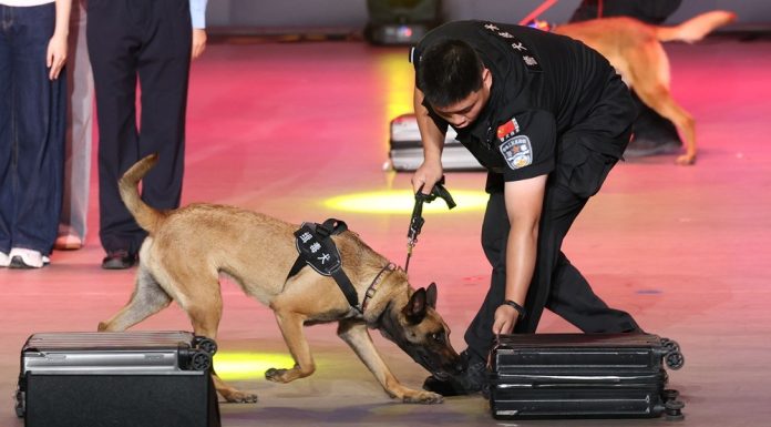 Cina: da inizio anno sequestrate oltre 4 tonnellate di droga alle frontiere