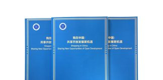Cina: pubblicato rapporto sull’evoluzione della domanda interna