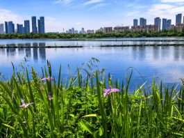 Cina: Hubei tra paesaggi acquatici e tutela ambientale (1)