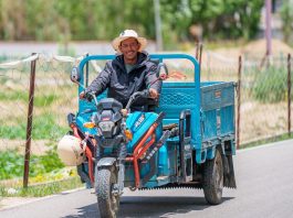 Cina: la ferrovia Qinghai-Xizang cambia la vita nelle campagne (3)