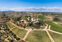 Feudi del Pisciotto, nel cuore della Sicilia Sudorientale il vino incontra la storia