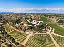 Feudi del Pisciotto, nel cuore della Sicilia Sudorientale il vino incontra la storia
