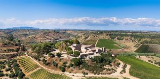 Feudi del Pisciotto, nel cuore della Sicilia Sudorientale il vino incontra la storia