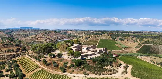 Feudi del Pisciotto, nel cuore della Sicilia Sudorientale il vino incontra la storia