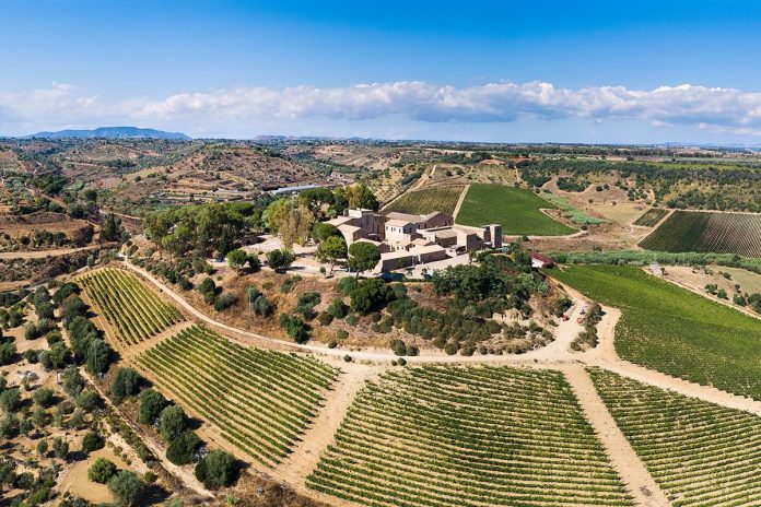 Wine Relais Feudi del Pisciotto_Panoramica_Credit Alfio Garozzo