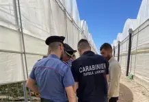 Lotta al caporalato, 15 datori di lavoro denunciati e 5 attività sospese nel Palermitano