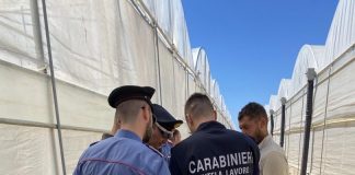 Lotta al caporalato, 15 datori di lavoro denunciati e 5 attività sospese nel Palermitano