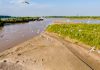 Cina: uccelli migratori lungo il Fiume Giallo nel Ningxia (1)