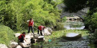 Cina: iniziative per la Giornata mondiale dell’ambiente in scuole e parchi (3)