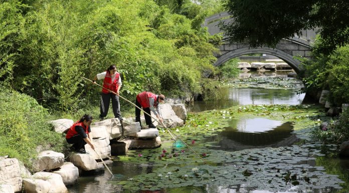 Cina: iniziative per la Giornata mondiale dell’ambiente in scuole e parchi (3)