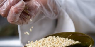 Cina: nell’Anhui gli zongzi sostengono l’economia locale (2)