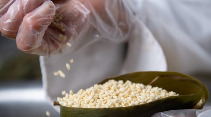 Cina: nell’Anhui gli zongzi sostengono l’economia locale (2)