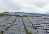 Cina: energia verde nuovo motore di sviluppo a basse emissioni di carbonio (2)