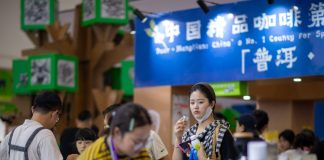 Cina: si chiude a Kunming decima edizione della China-South Asia Expo (2)