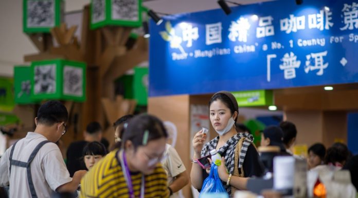 Cina: si chiude a Kunming decima edizione della China-South Asia Expo (2)