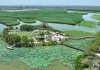 Cina: paesaggi con fiori di loto nel parco delle zone umide di Yinchuan (1)