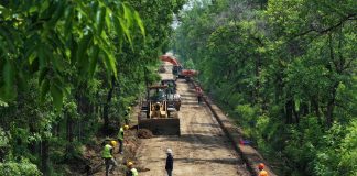 Cina: Heilongjiang, tecnologia e terra nera per la sicurezza alimentare (2)