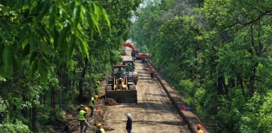 Cina: Heilongjiang, tecnologia e terra nera per la sicurezza alimentare (2)