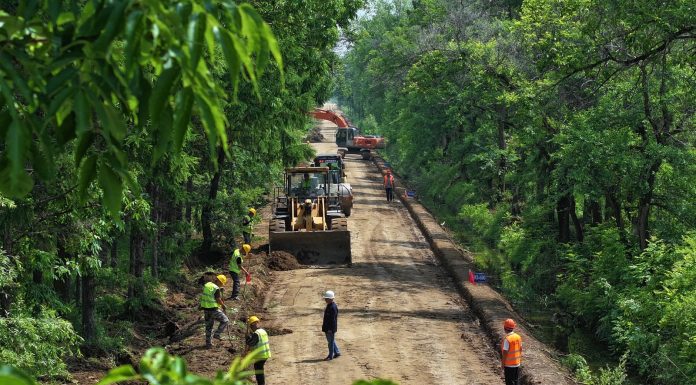 Cina: Heilongjiang, tecnologia e terra nera per la sicurezza alimentare (2)